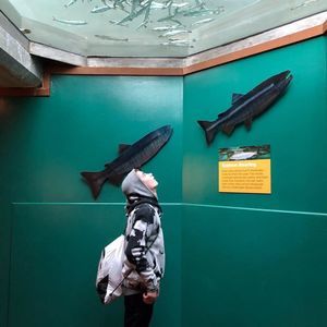 Meet your Posher, Connor